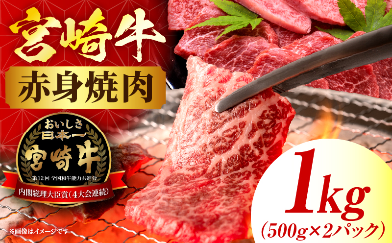 宮崎牛 赤身焼肉 2パック（1kg）_my085-012-01