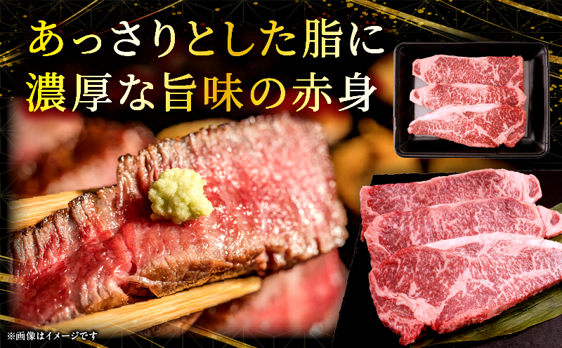 宮崎県産黒毛和牛(経産)ロースステーキ3枚 600g_b0751_my_x2