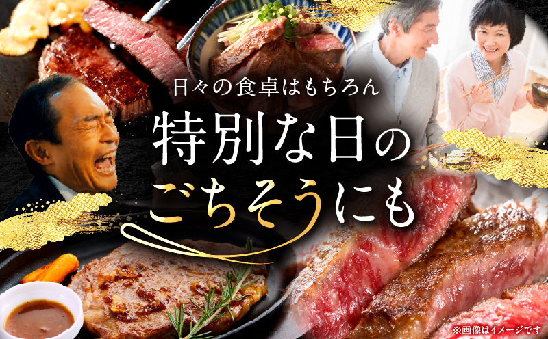 【畜産農家応援】宮崎牛 ロースステーキ 2枚 合計500g_b0374_my_ouen_x1