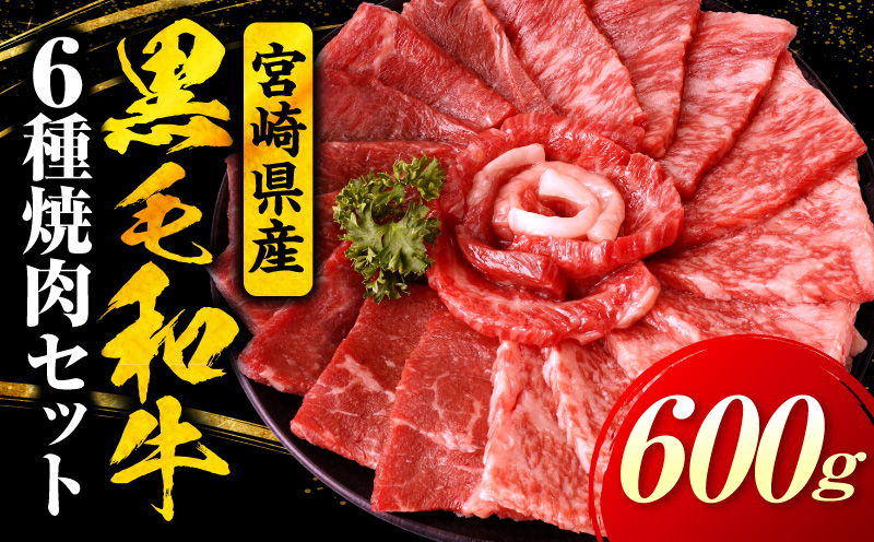 宮崎県産黒毛和牛(経産)6種焼肉セット 600g_b0750_my_x2