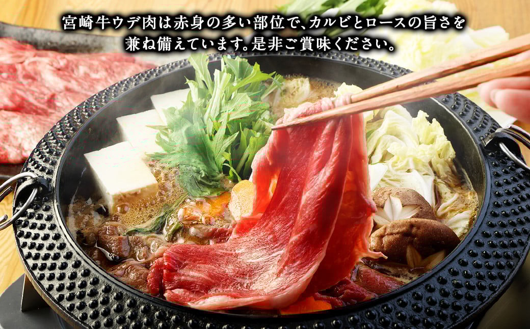 ＜宮崎牛 ウデ スライス 500g＞翌月末迄に順次出荷 牛肉 和牛 黒毛和牛 4等級以上 ブランド牛 肉 宮崎牛 ウデ肉 ウデ すき焼き 新生活応援 卒業祝い 就職祝い 入学 卒業 お花見 引越し