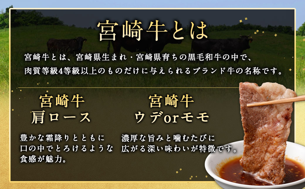 ＜宮崎牛 焼肉 2種 (赤身霜降り)＞1か月以内に順次出荷