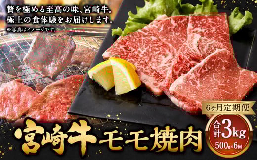 【6ヶ月定期便】<宮崎牛モモ焼肉 500g(1パック:500g×6回)> お申込みの翌月下旬頃に第一回目発送(12月は中旬頃) 牛肉 お肉 肉 和牛 新生活応援 卒業祝い 就職祝い 入学 卒業 お花見 引越し