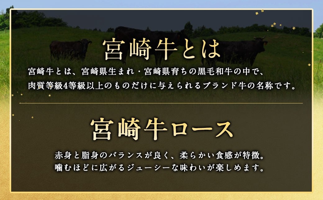 ＜宮崎牛ロースステーキ1枚 300g＞2026年2月上旬より順次出荷 お肉 肉 宮崎牛 牛肉 ステーキ ステーキ肉 ロース ロースステーキ 冷凍 宮崎県 高鍋町