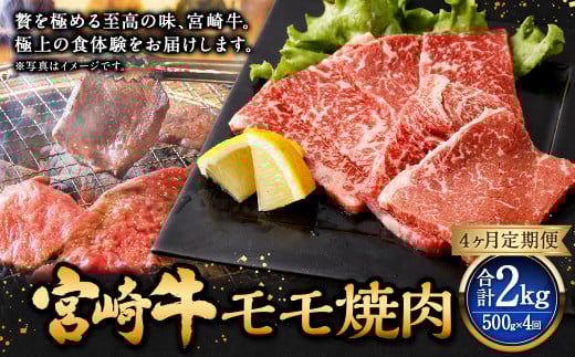 【4ヶ月定期便】＜宮崎牛モモ焼肉 500g（1パック：500g×4回）＞お申込みの翌月下旬頃に第一回目発送（12月は中旬頃） 牛肉 お肉 肉 和牛 新生活応援 卒業祝い 就職祝い 入学 卒業 お花見 引越し