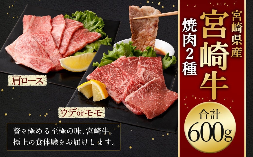 <宮崎牛焼肉2種(赤身霜降り) 計600g>2026年2月上旬より順次出荷 300g×2パック お肉 肉 宮崎牛 牛肉 赤身 肩ロース ロース モモ ウデ 焼き肉 焼肉 BBQ バーベキュー 霜降り 冷凍 宮崎県 高鍋町