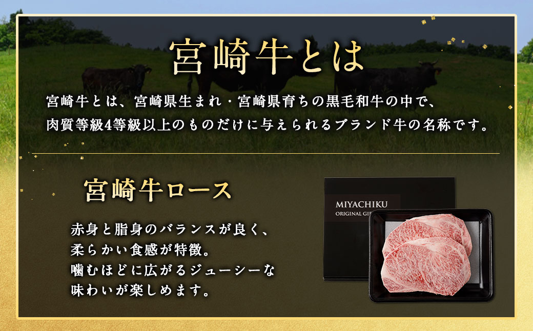 ＜宮崎牛 ロースステーキ 2枚 500g＞1か月以内に順次出荷