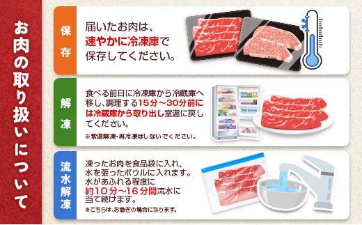 宮崎牛 赤身 モモ スライス 計1kg ≪肉質等級4等級≫【C437-2510-30】