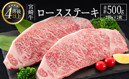 ＜畜産農家応援＞宮崎牛 ロースステーキ（250g×2枚）計500g 肉質等級4等級【SC346-14D】※14営業日以内出荷