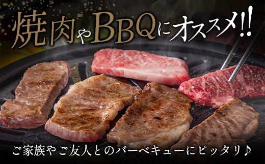 ≪肉質等級4等級≫宮崎牛・豚・ウィンナー人気のBBQ肉セット 合計1.4kg以上 国産【C424-24-30】