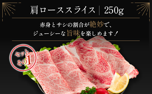≪肉質等級4等級≫宮崎牛 4種食べ比べスライスセット（各250g×4パック）合計1kg【D118-2503】