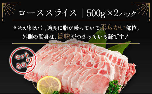 宮崎県産豚 3種食べ比べスライスセット（500g×6パック）計3kg【C369-2503】