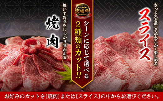 6月11日(木)までの期間限定!! 畜産農家応援 宮崎牛 モモ 赤身肉（焼肉 or スライス）計1kg 国産 牛肉【C471-Mi-Y-S-14D】 14営業日以内出荷！