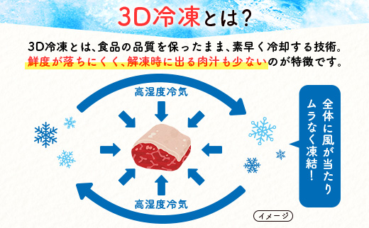 ＜3D冷凍＞宮崎牛食べ比べスライスセット（100g×6種類）肉質等級4等級 牛肉 ブランド すき焼き しゃぶしゃぶ【C350-24-30】