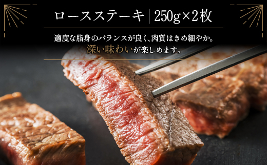 ≪肉質等級4等級≫宮崎牛 ロースステーキ 合計500g（250g×2枚）【C346-2503】