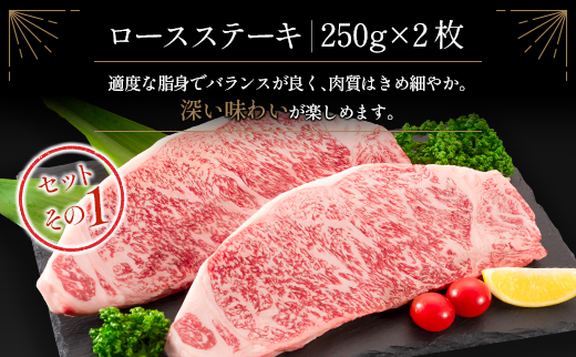 ≪肉質等級4等級≫宮崎牛 ロース食べ比べセット 合計1kg【E161-2503】