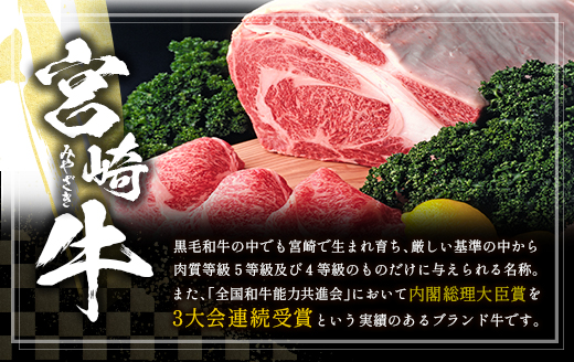 ≪肉質等級4等級≫宮崎牛 ヒレステーキ 合計450g（150g×3枚）【E160-2503】