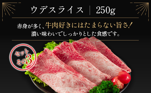 ≪肉質等級4等級≫宮崎牛 4種食べ比べスライスセット（各250g×4パック）合計1kg【D118-2503】