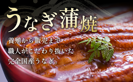 ＜イチオシ！＞鰻楽 国産うなぎ2尾＆宮崎牛ロースステーキ2枚500g【C129-24-30】