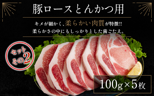 宮崎県産豚 とんかつ用3種 食べ比べセット 合計1.5kg 肉 豚肉 国産【A299-24-30】