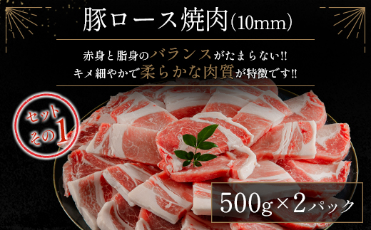 宮崎県産豚ロース＆豚バラ厚切り焼肉 合計2kg（500g×4P）肉 豚肉【B633-2503】