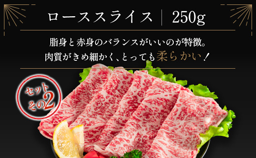 ≪肉質等級4等級≫宮崎牛 4種食べ比べスライスセット（各250g×4パック）合計1kg【D118-24-30】