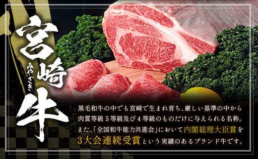 ≪肉質等級4等級≫宮崎牛 贅沢ステーキセット［ロース・ミスジ・モモ］計1.1kg【E174-2503】
