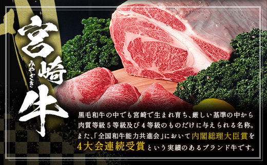 ＜畜産農家応援＞宮崎牛 ロースステーキ（250g×4枚）計1kg 肉質等級4等級【D161-10D】※10日以内出荷