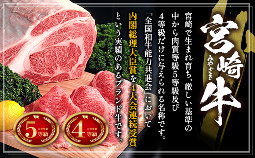 ≪肉質等級4等級≫宮崎牛 ミスジステーキ&豚ロース スライスセット 合計900g 肉 国産【C368-S-24-30】