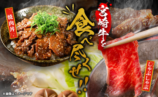 畜産農家応援 宮崎牛 モモ 赤身肉（焼肉）計1kg 国産 牛肉【C471-Y-10D-Mi】※10日以内出荷