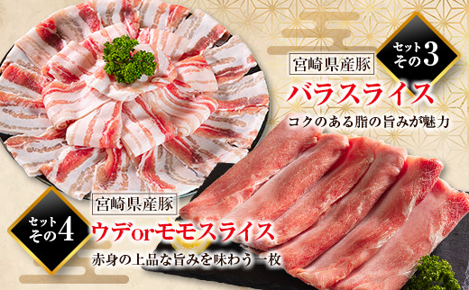 宮崎県産 豚肉 バラエティセット 計3.5kg 食べ比べ 国産 スピード便 ※10日以内出荷【B711-10D】