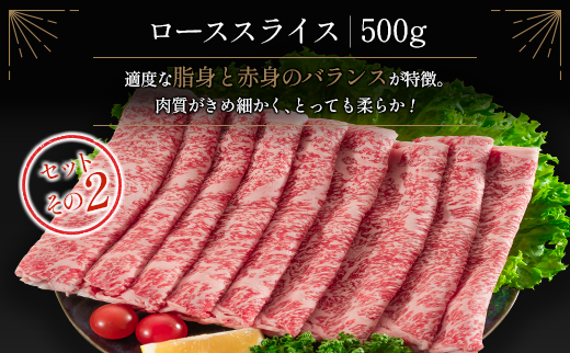 ≪肉質等級4等級≫宮崎牛 ロース食べ比べセット 合計1kg【E161-2503】