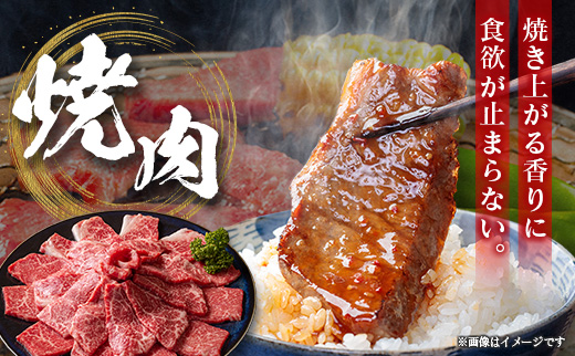 畜産農家応援 宮崎牛 モモ 赤身肉（焼肉）計1kg 国産 牛肉【C471-Y-10D-Mi】※10日以内出荷
