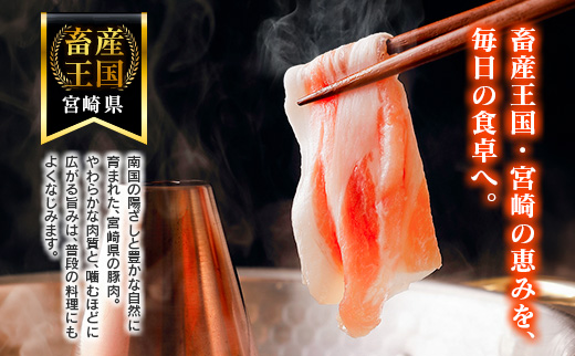 宮崎県産 豚肉 バラエティセット 計3.5kg 食べ比べ 国産 スピード便 ※10日以内出荷【B711-10D】