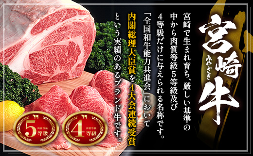 ［限定10個］超豪華 宮崎牛 ロースブロック 計3kg 牛肉 焼肉 BBQ ステーキ 国産 宮崎県産【F146-2503】