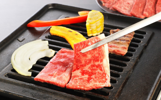 宮崎牛 モモ 焼肉500ｇ  K18_0019_5 K18_0019_6
