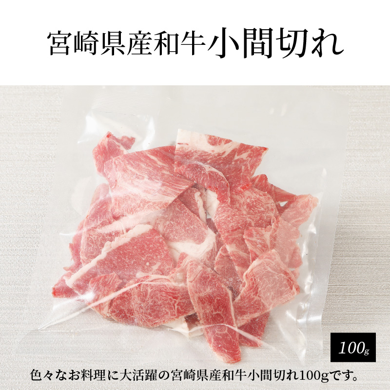 宮崎牛肩ロース焼肉300ｇ 宮崎県産和牛小間切れ100ｇ K18_0029_4