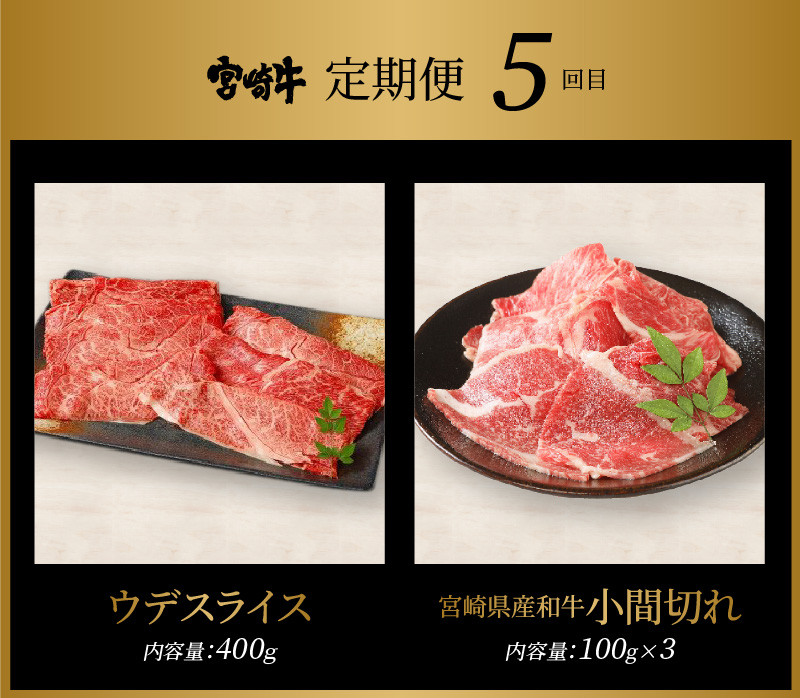 宮崎牛 バラエティー６回定期便 K18_T012_6