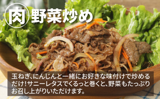 宮崎牛 ウデスライス800ｇ   K18_0038_3