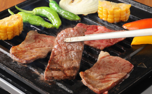 宮崎牛 肩（ウデ） 焼肉500ｇ   K18_0017_6