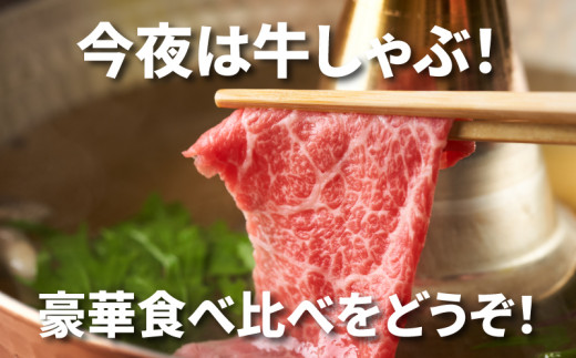 宮崎牛 肩ローススライス300ｇ ウデスライス400g  K18_0039_3