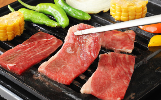 宮崎牛 肩（ウデ） 焼肉500ｇ   K18_0017_6