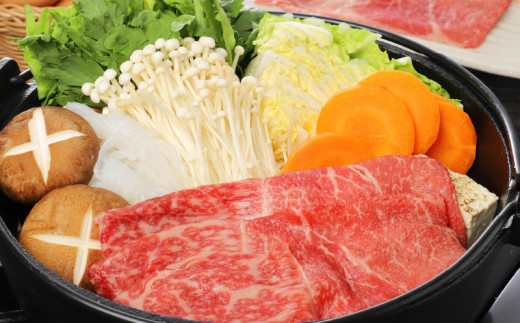 宮崎牛 モモ スライス500ｇ   K18_0018_6