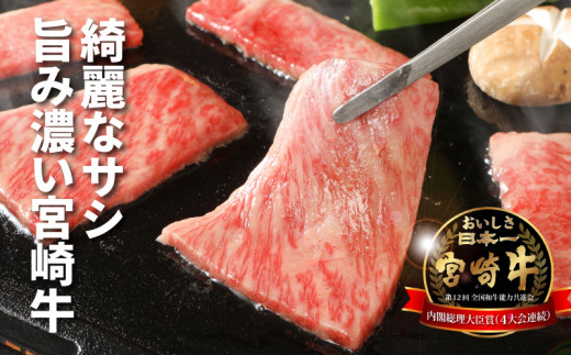 宮崎牛肩ロース焼肉600ｇ K18_0037_1