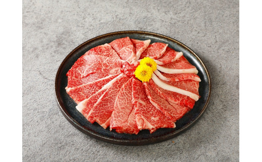 宮崎牛 ウデ焼肉400ｇ　宮崎県産和牛小間切れ100ｇ  K18_0025_6