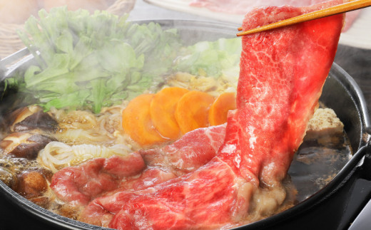 宮崎牛 モモ スライス500ｇ   K18_0018_6