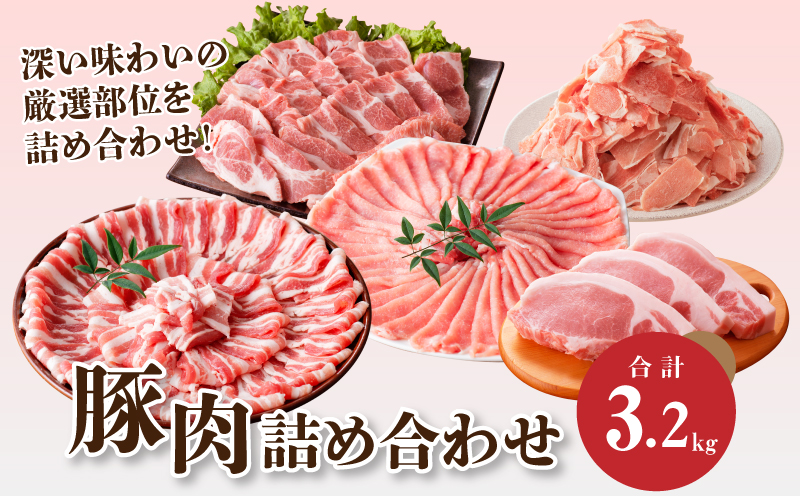 豚肉 詰め合わせ3.2㎏ K18_0040_4