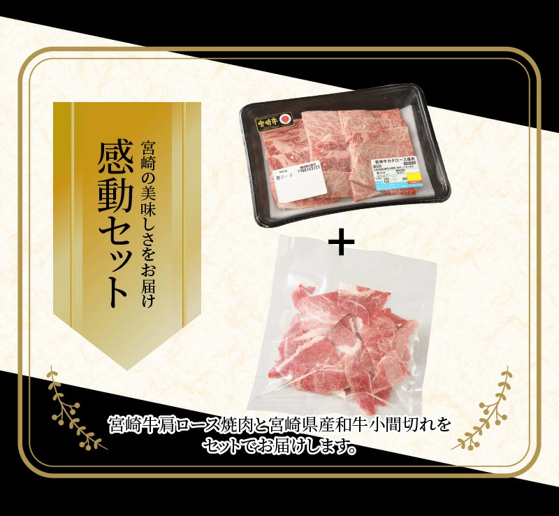 宮崎牛肩ロース焼肉300ｇ 宮崎県産和牛小間切れ100ｇ K18_0029_4