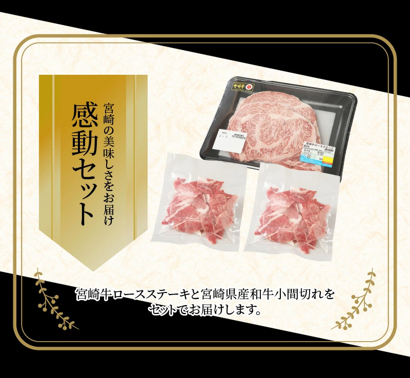 宮崎牛 ロースステーキ500ｇ 宮崎県産和牛小間切れ200ｇ  K18_0034_5