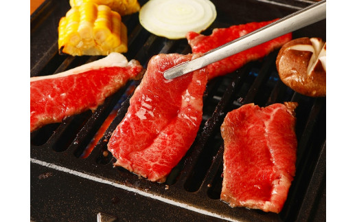 宮崎牛 ウデ焼肉400ｇ　宮崎県産和牛小間切れ100ｇ  K18_0025_6